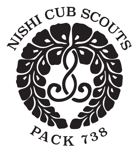 NISHI CUB SCOUT PACK 738